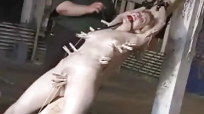 a horny babe 가 에 이 화장실 을 얻 그 여자 침투